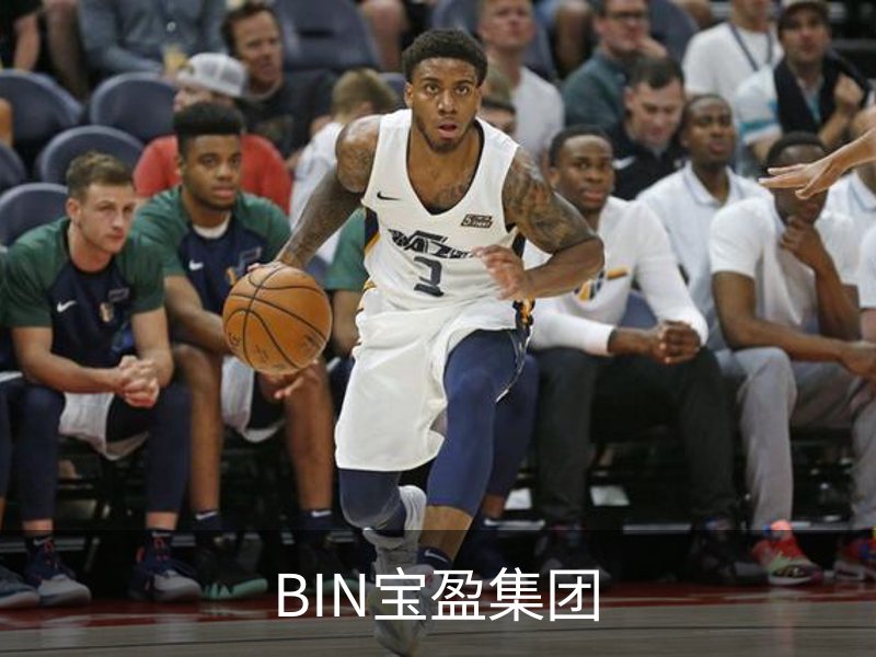 了解BIN宝盈集团